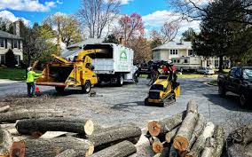 Best Tree Risk Assessment  in Breezy Point, MN